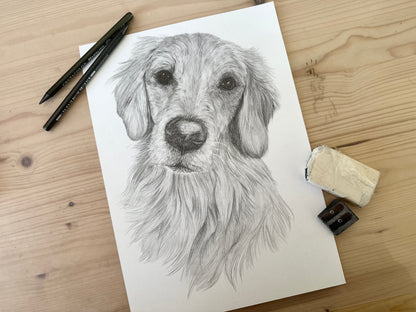 Custom dog drawing, Pet Portrait Drawing The Wedding Crest Lab