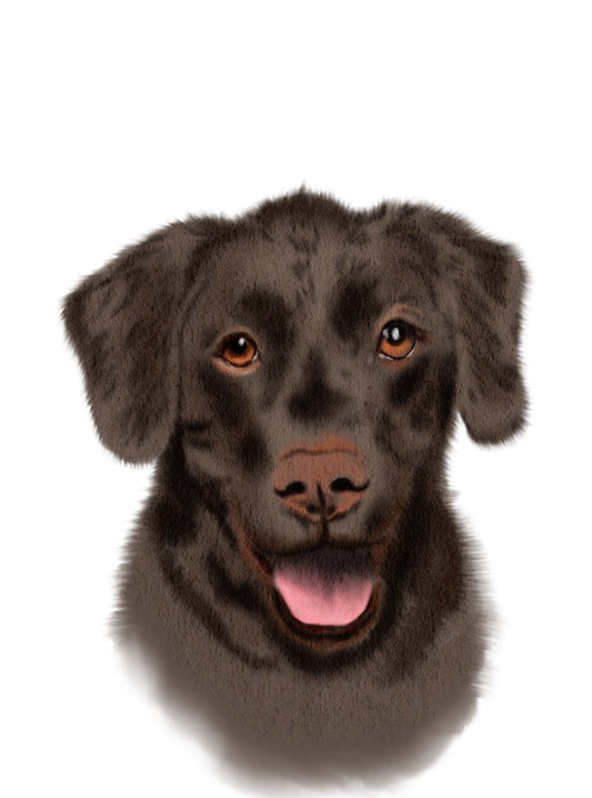 Custom procreate dog painting, Dog painting from photo, Pet portrait, Dog portrait, cat painting The Wedding Crest Lab