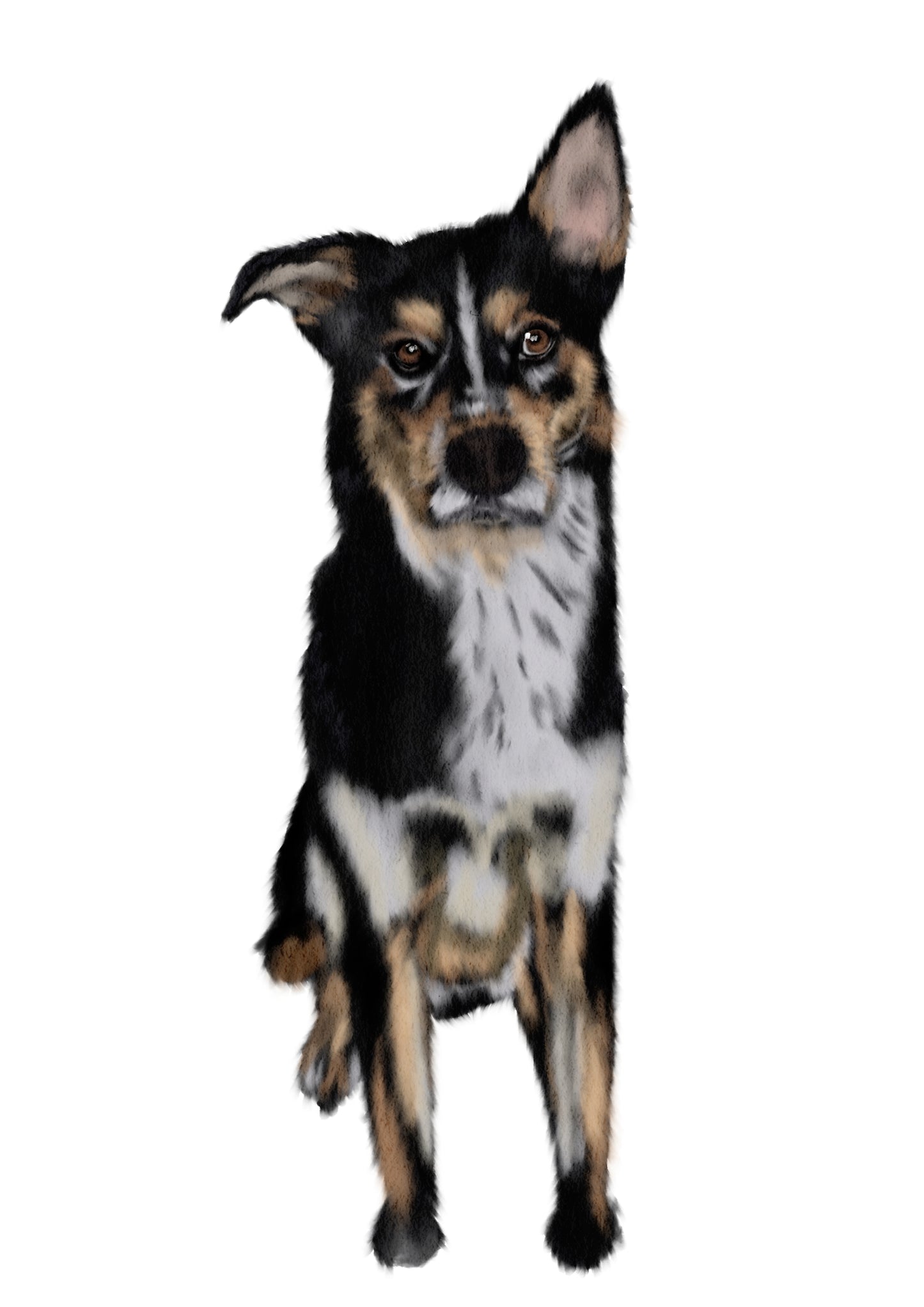 Custom procreate dog painting, Dog painting from photo, Pet portrait, Dog portrait, cat painting The Wedding Crest Lab