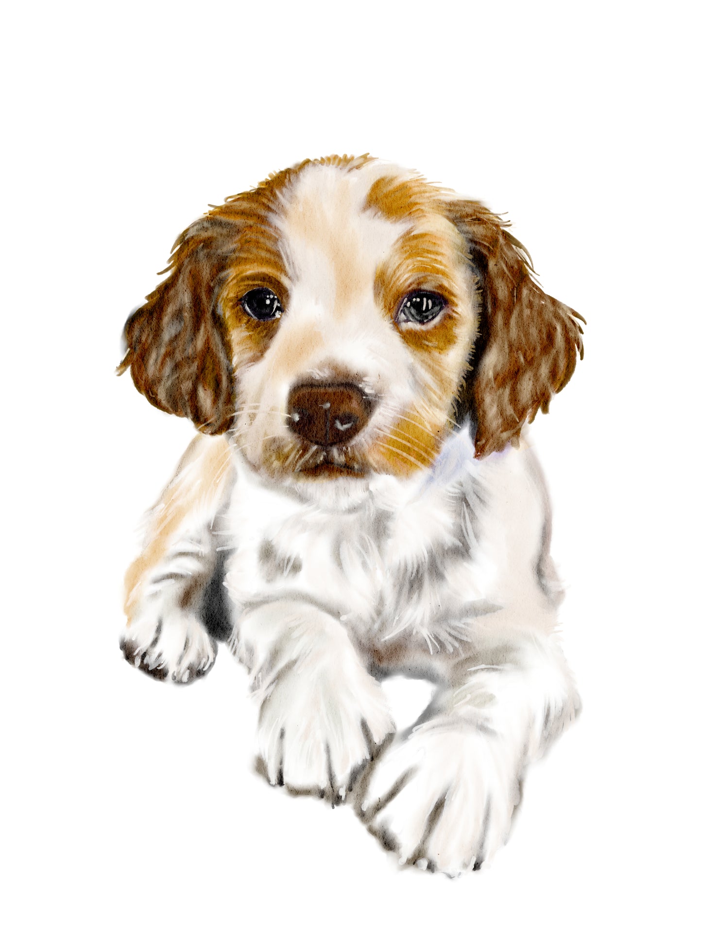 Custom procreate dog painting, Dog painting from photo, Pet portrait, Dog portrait, cat painting - The Wedding Crest Lab