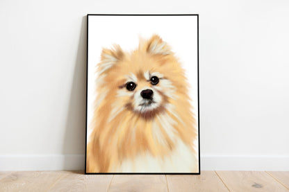 Pomerania dog painting