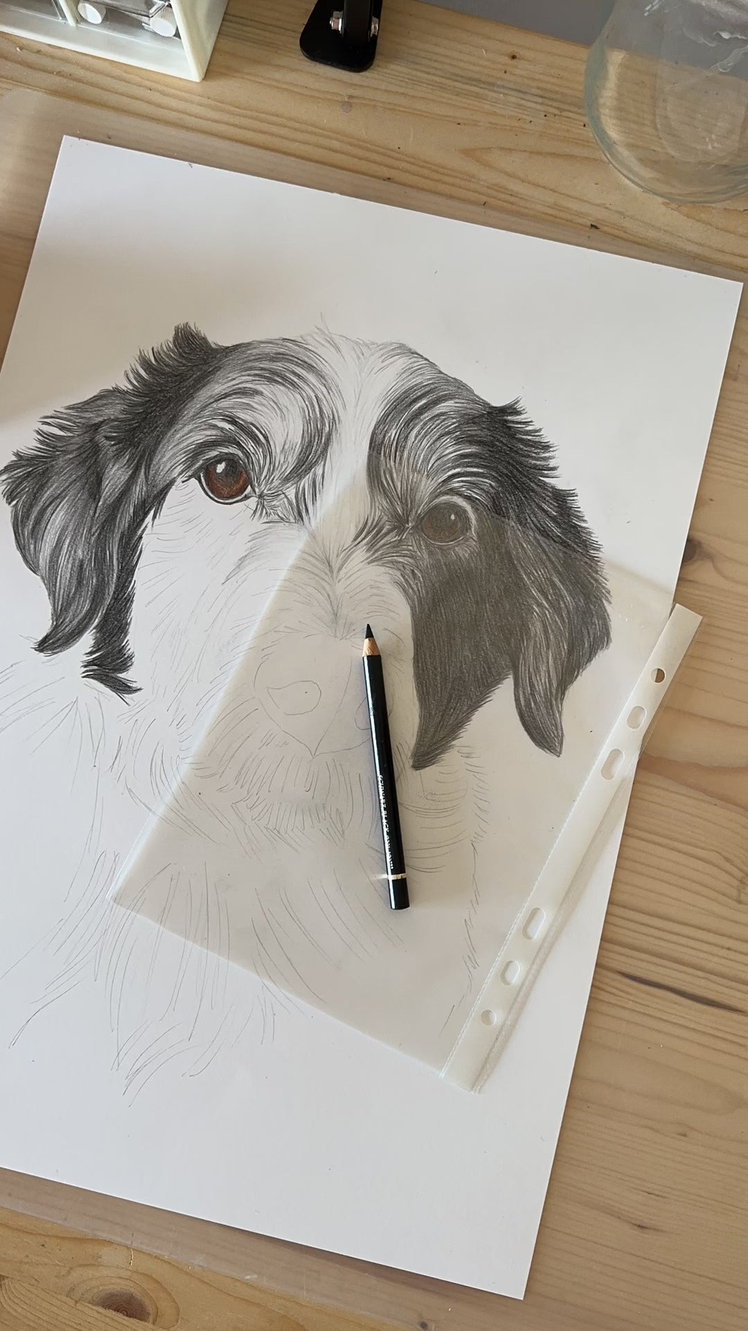 dog drawing timelapse video